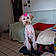 Rylee