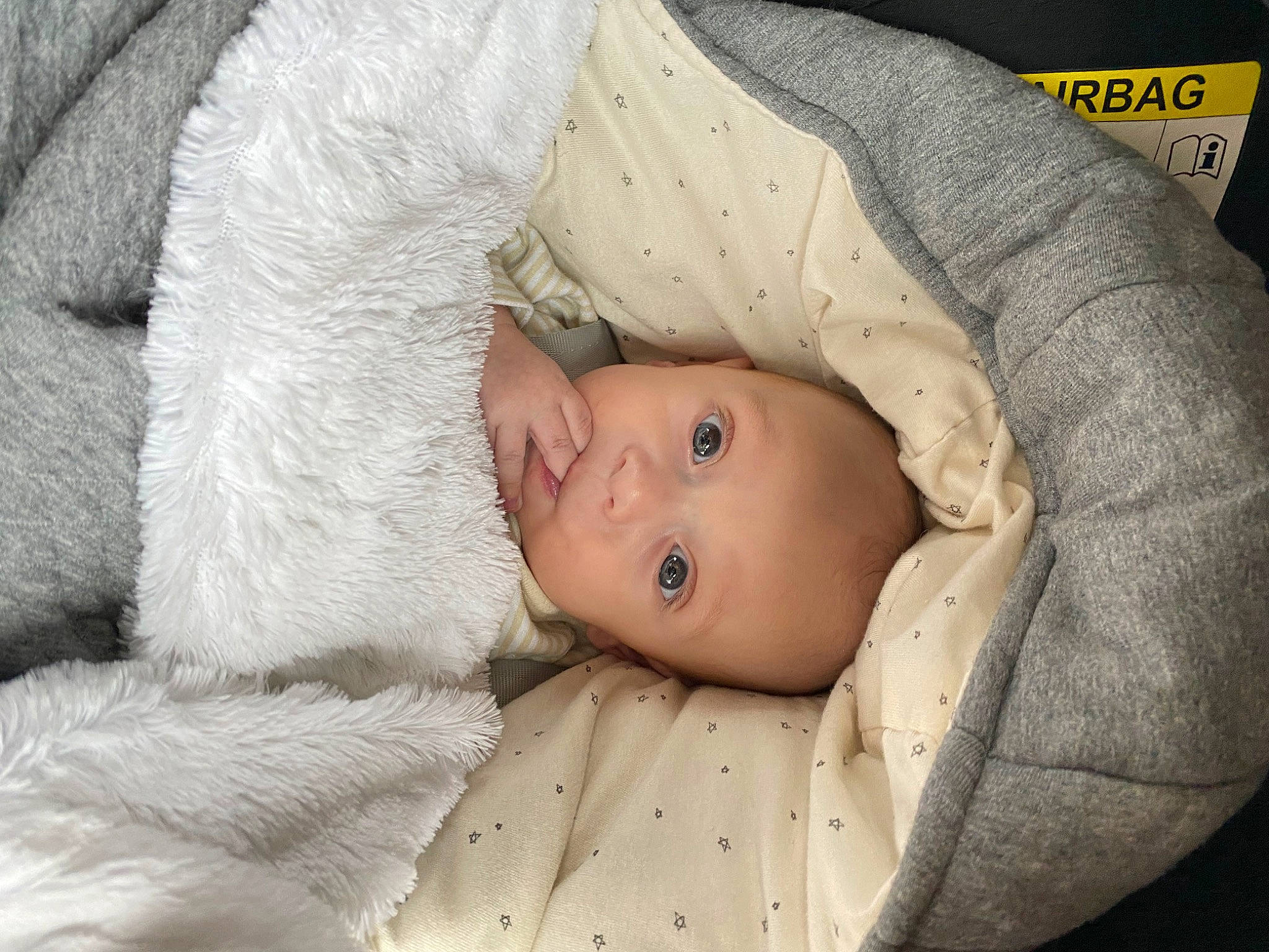 Danaël participe au concours pour gagner de l'argent avec cette photo : baby, baby_products, baby_toddler_clothing, cheek, child, comfort, eye, fur, head, linens, pattern, person, sitting, sleeve, toddler, wood