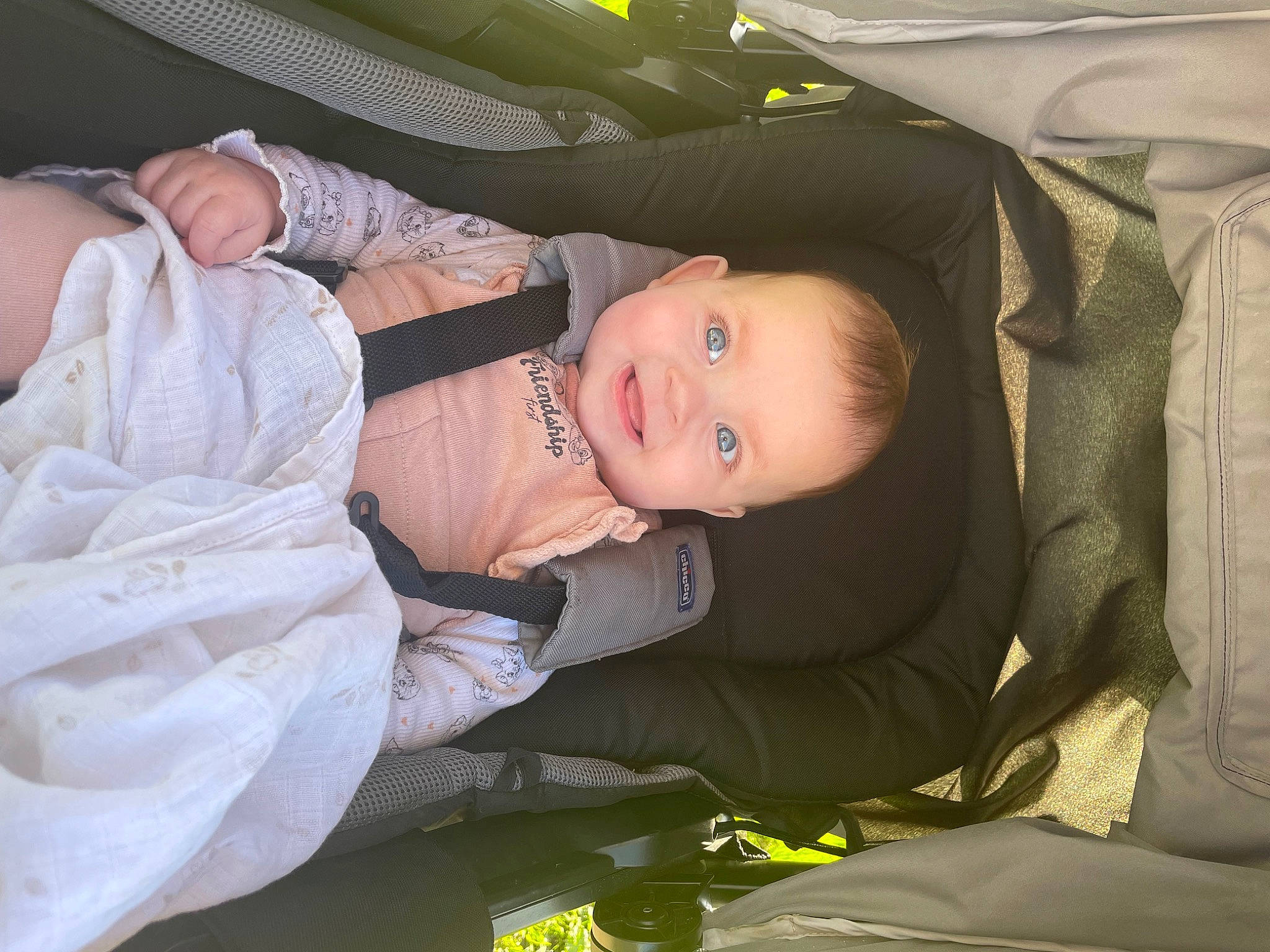 Luna participe au concours pour gagner de l'argent avec cette photo : auto_part, baby, baby_carriage, baby_products, baby_toddler_clothing, car_seat, cheek, child, comfort, facial_expression, fun, grass, happy, joy, person, plant, sitting, skin, sleeve, smile