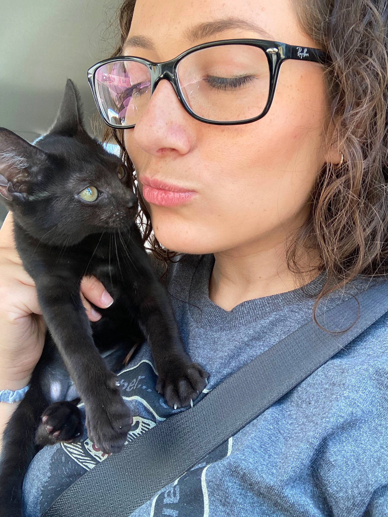 Xena joined the competition — help win amazing prizes! black_cat, black_hair, carnivore, cat, eyebrow, eyelash, eyewear, fashion_accessory, felidae, formal_wear, fur, gesture, glasses, iris, layered_hair, lip, long_hair, small_to_medium_sized_cats, vision_care, whiskers