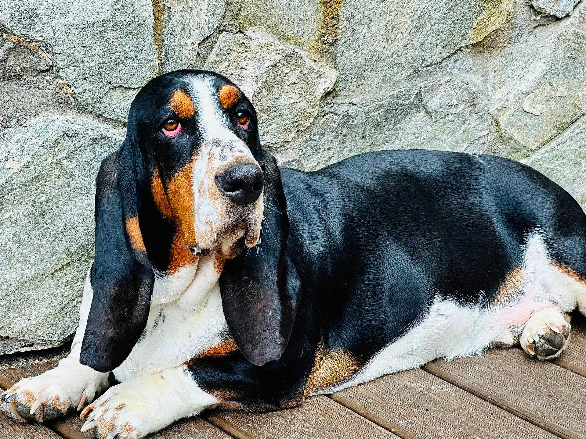 Boone