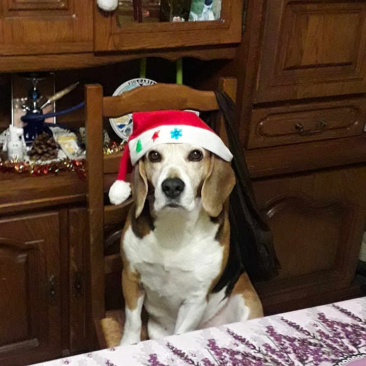 Sammy