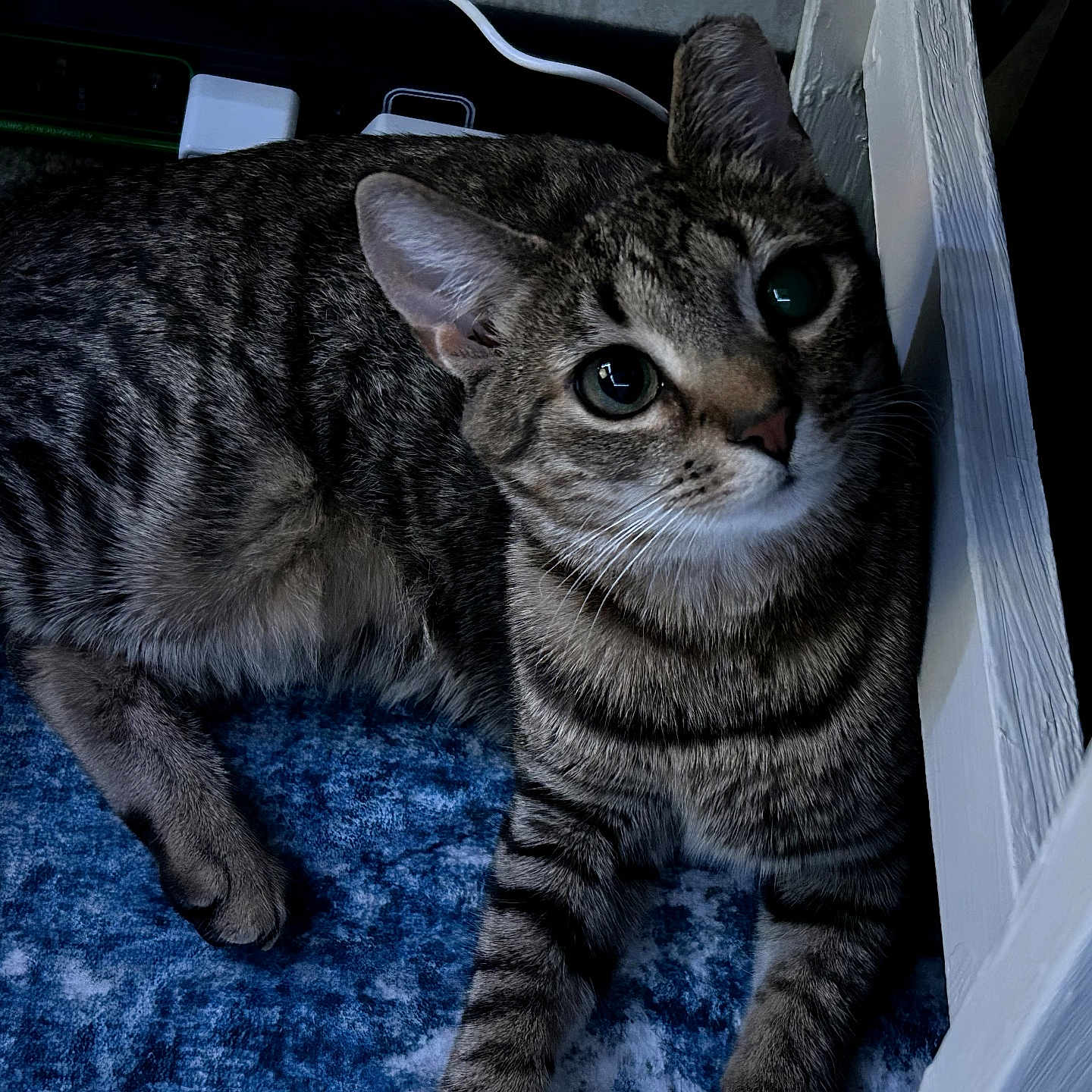 Luna