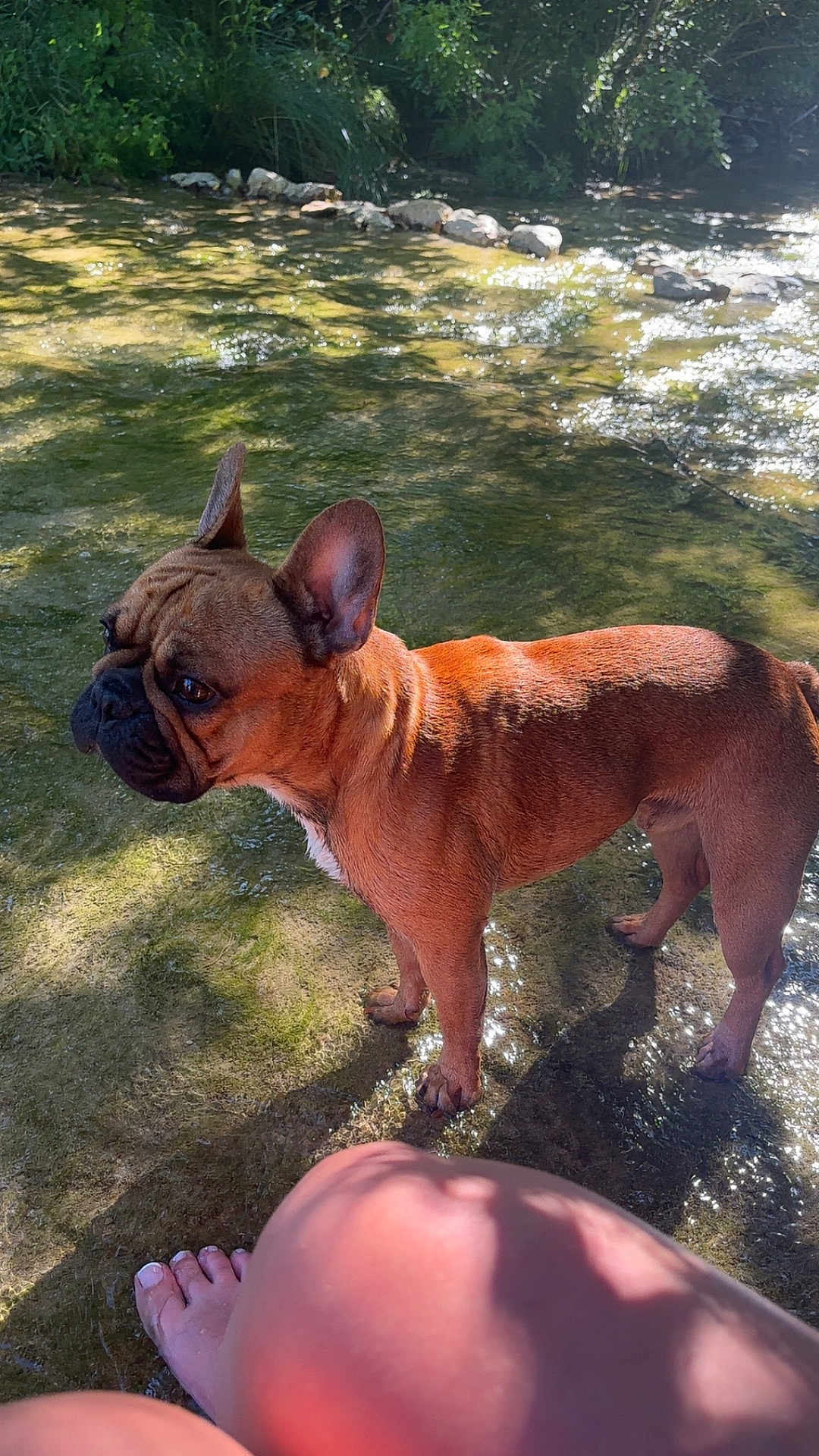 Milo