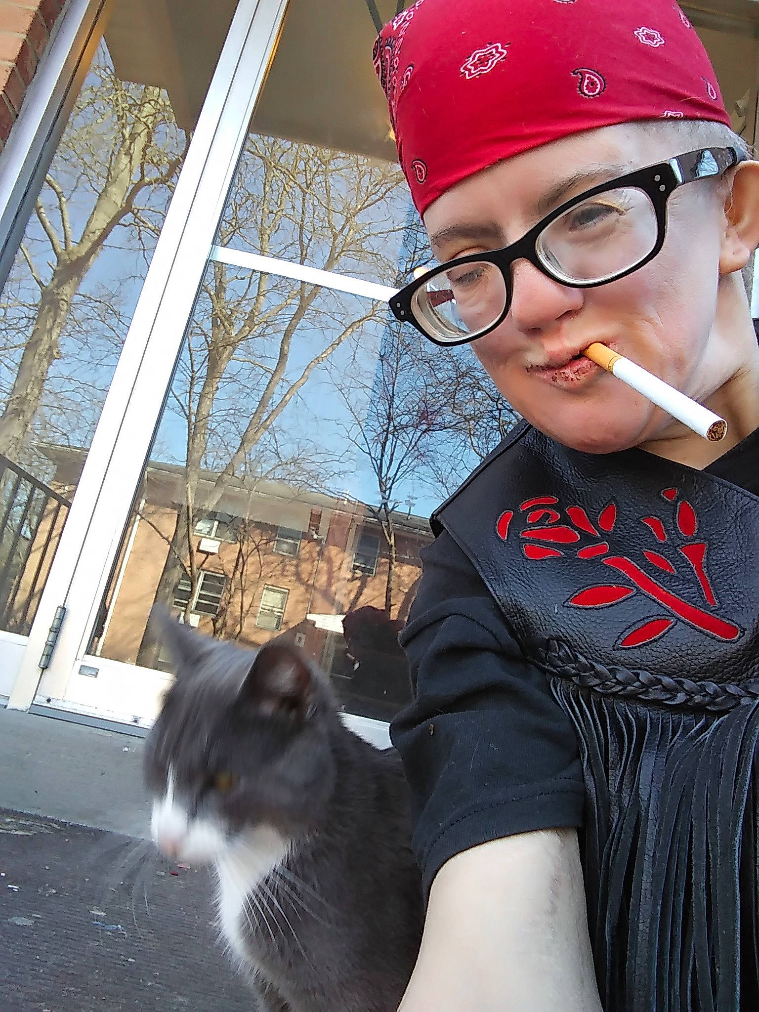 Ashby is registered to the contest to win money with this photo: beanie, cap, cat, cool, felidae, glasses, hat, headgear, moustache, photography, small_to_medium_sized_cats, whiskers