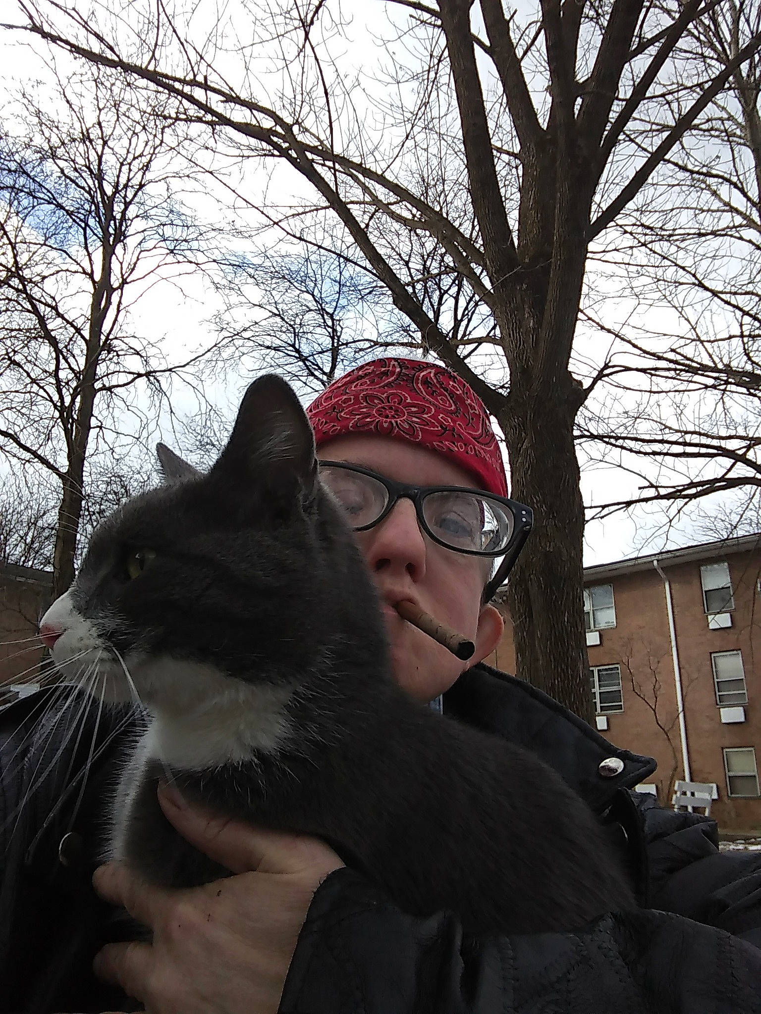 Ashby joined the competition — help win amazing prizes! branch, cat, felidae, fur, small_to_medium_sized_cats, snow, tree, whiskers, winter