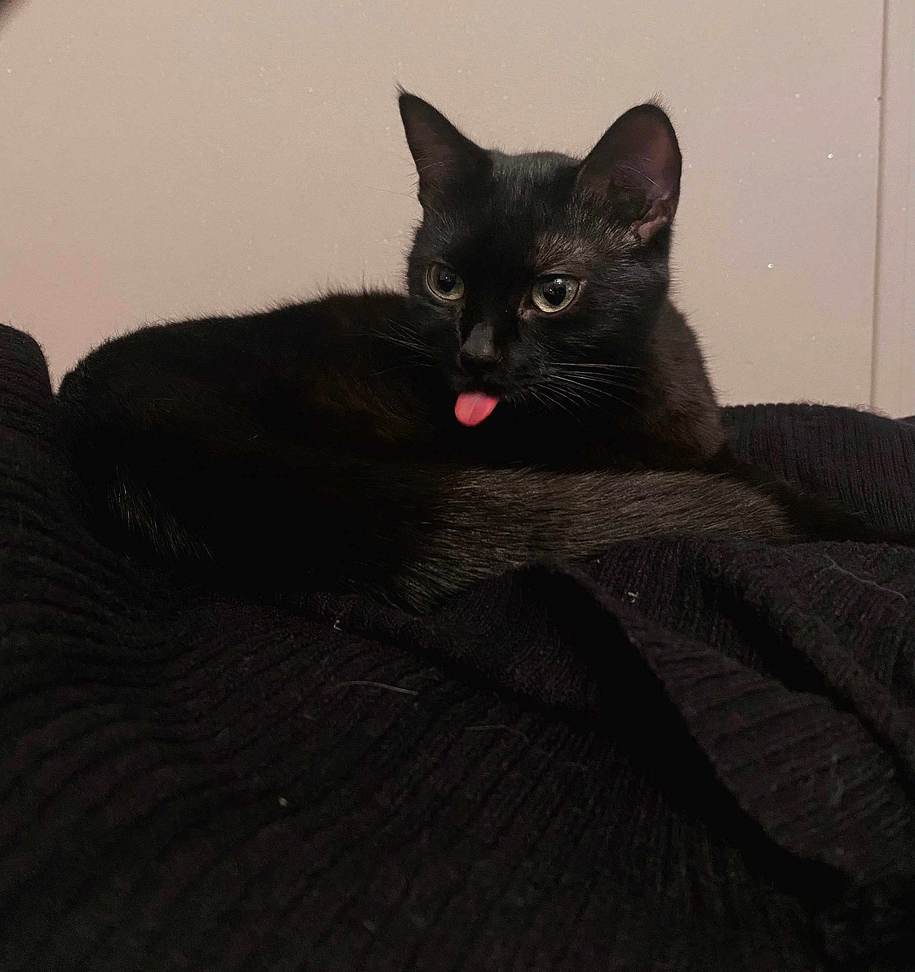 Keiko