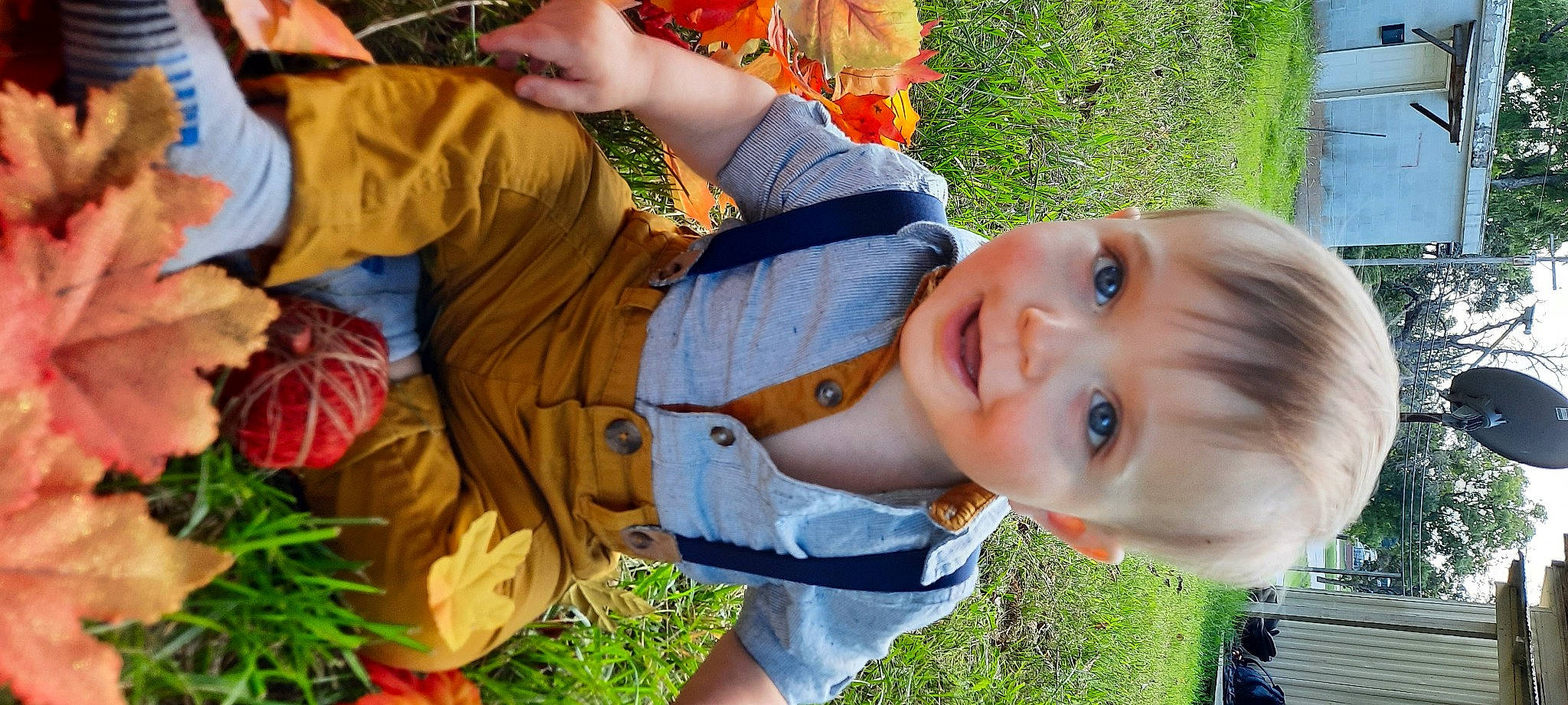 Kyson is registered to the contest to win money with this photo: adaptation, botany, child, fun, grass, green, happy, leaf, leisure, mammal, mouth, nose, people, person, plant, smile, snapshot, summer, toddler, tree