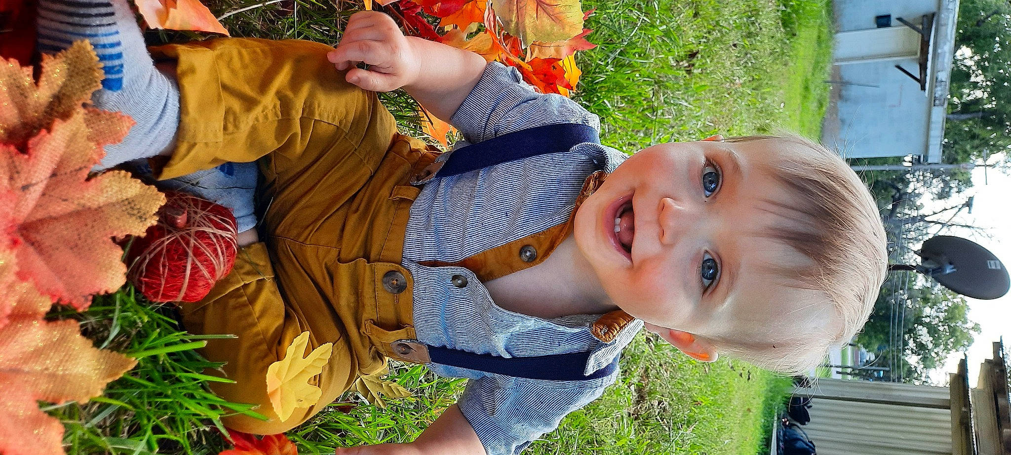 Kyson is registered to the contest to win money with this photo: adaptation, baby, child, fun, grass, green, happy, joy, leaf, leisure, people_in_nature, person, plant, play, portrait_photography, sitting, smile, toddler, tree, vacation