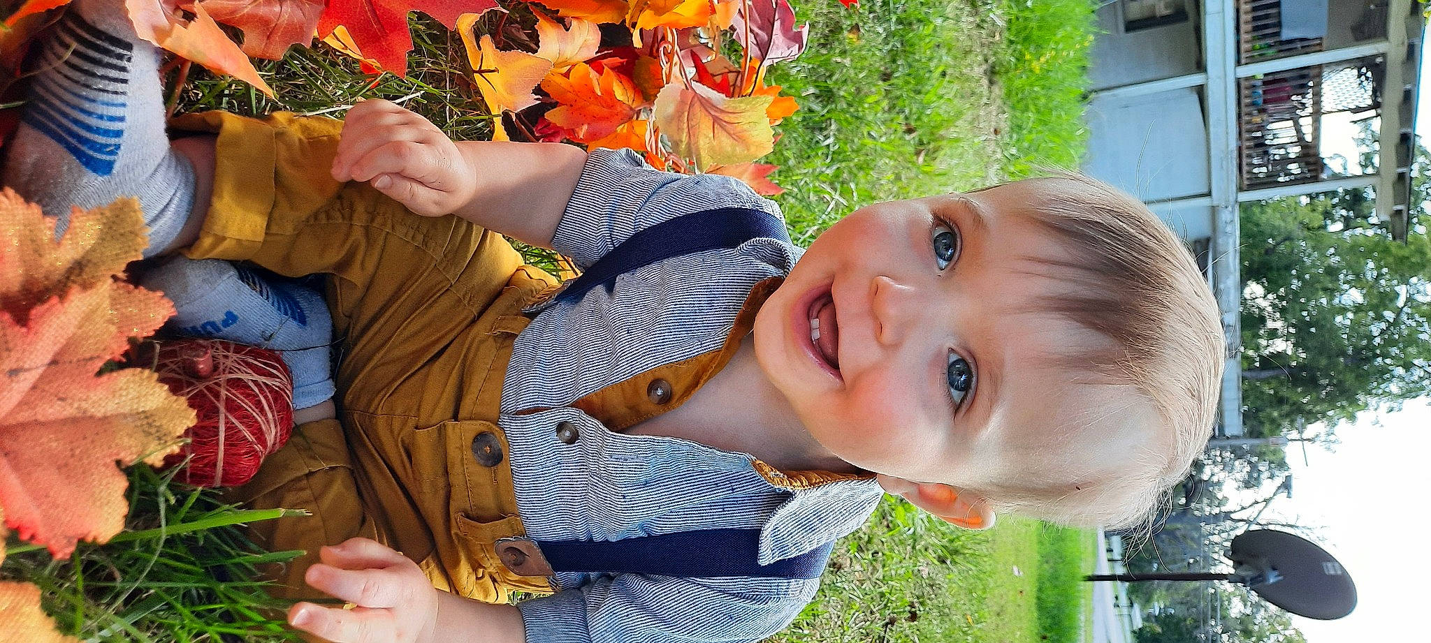 Kyson is registered to the contest to win money with this photo: baby_toddler_clothing, child, facial_expression, fun, grass, green, happy, human, joy, leaf, leisure, natural_foods, nose, people, people_in_nature, person, plant, smile, summer, toddler