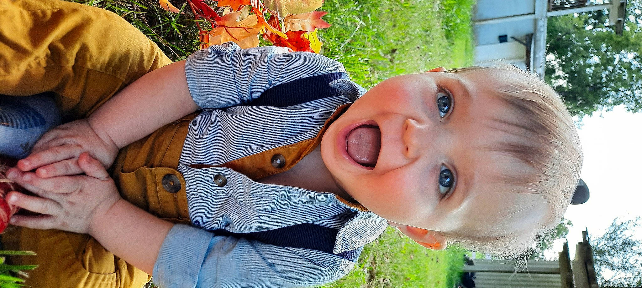 Kyson is registered to the contest to win money with this photo: baby, baby_toddler_clothing, button, cheek, child, eyelash, fun, grass, happy, leisure, lip, nose, pattern, people_in_nature, person, plant, skin, smile, toddler, tree