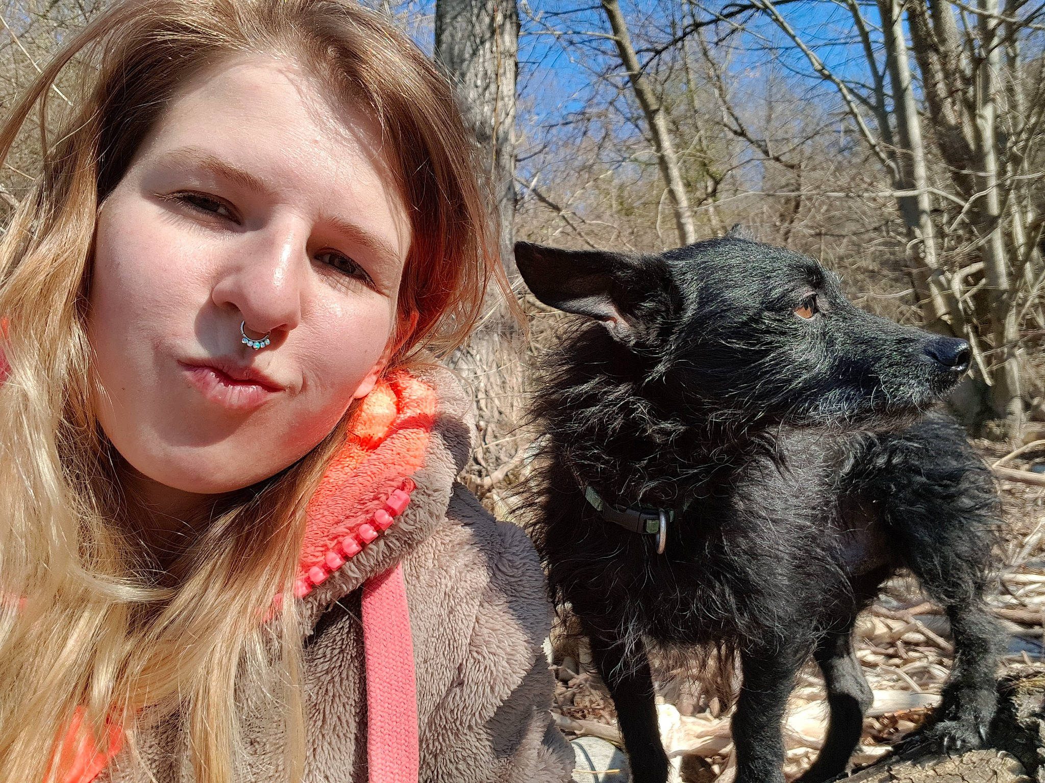 Prince a rejoint le concours — aidez-le/la à gagner de superbes lots ! canidae, carnivore, dog, dog_breed, fawn, goats, mammal, mudi, person, snout, sporting_group, vertebrate