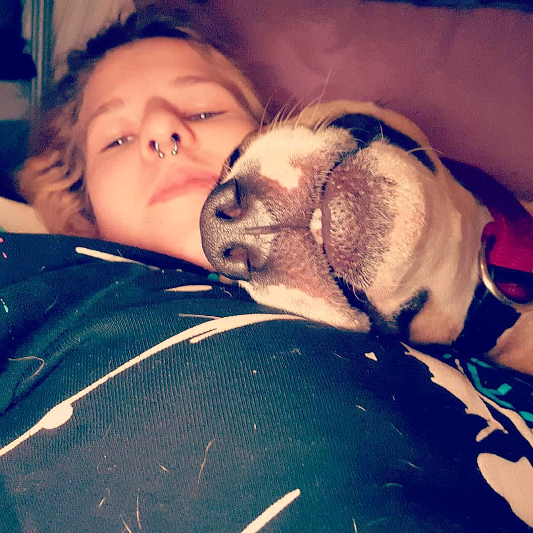 Gabie a rejoint le concours — aidez-le/la à gagner de superbes lots ! canidae, carnivore, cloud, cool, dog, eye, fawn, head, human, love, nap, nose, person, puggle, puppy, puppy_love, selfie, sky, sleep, smile