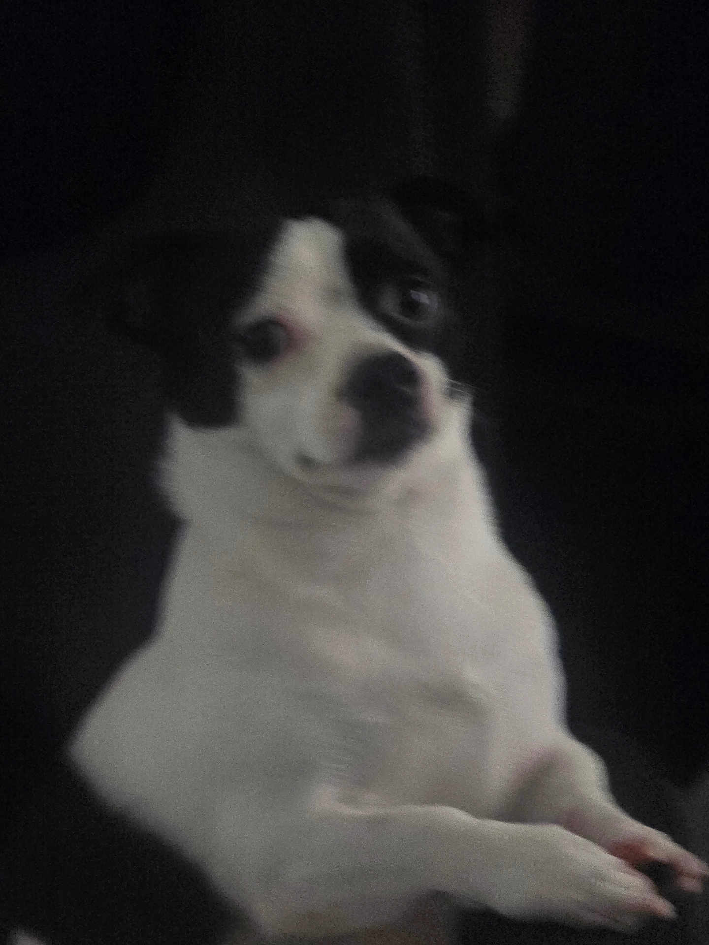 Chip