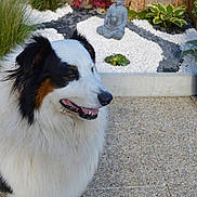Hasko participe au concours pour gagner de l'argent avec cette photo :