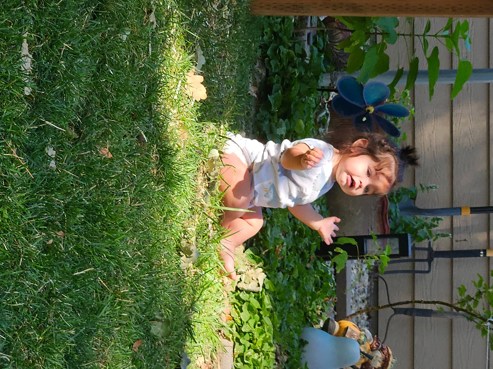 Damian Herrera joined the competition — help win amazing prizes! backyard, botany, child, fun, garden, grass, green, groundcover, happy, hat, leisure, people_in_nature, person, plant, shrub, smile, sun_hat, toddler, tree, yard