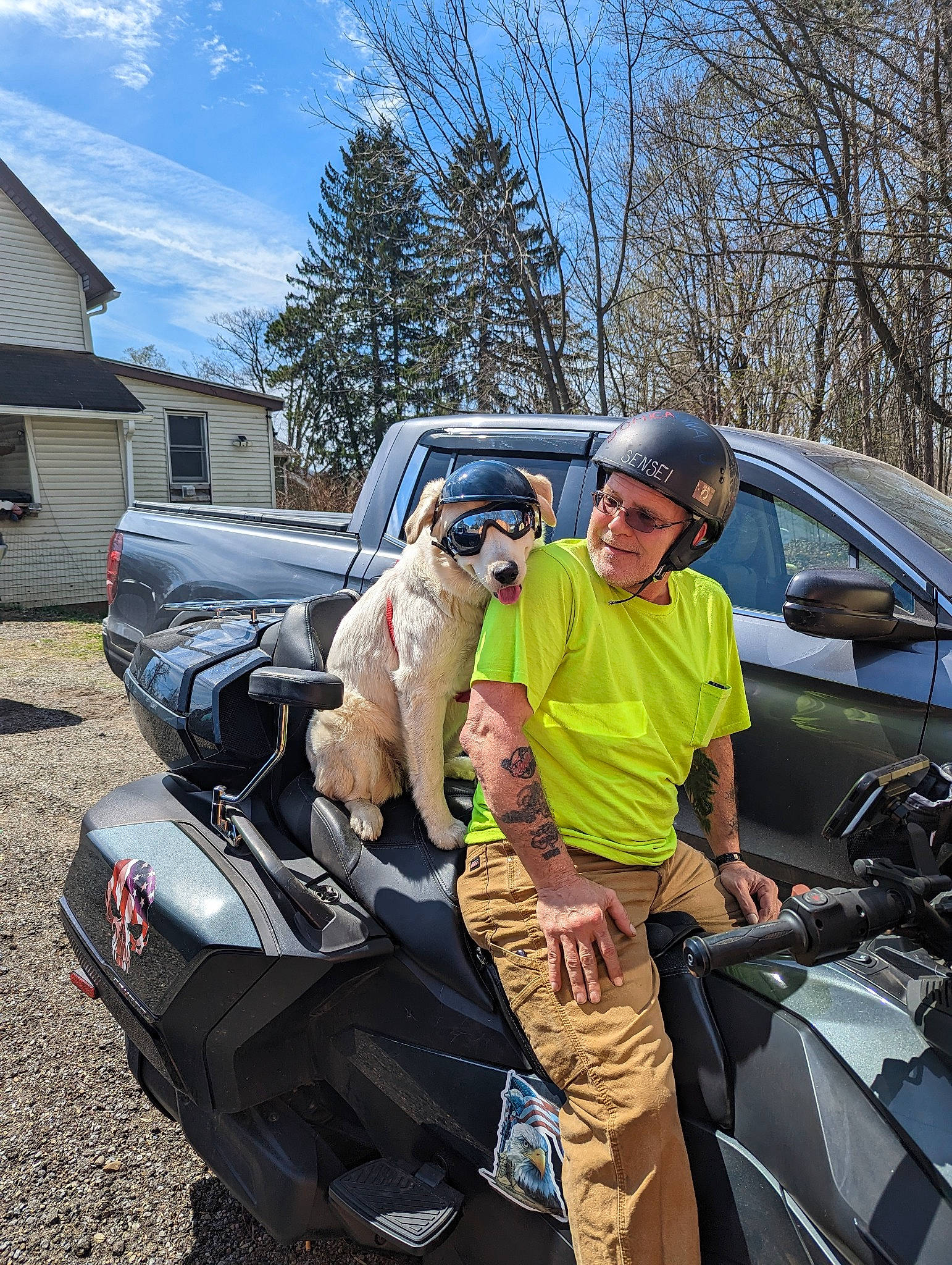 Kiera is registered to the contest to win money with this photo: automotive_design, automotive_exterior, automotive_lighting, automotive_tire, bumper, car, carnivore, dog, eyewear, fawn, fender, hood, motor_vehicle, parking, personal_luxury_car, sky, sunglasses, tree, vehicle, vehicle_door