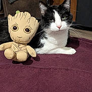 Groot participe au concours pour gagner de l'argent avec cette photo : cat, kitten, black_and_white, pet, animal, plush_toy, groot, sitting, portrait, indoors, carpet, furniture, chair, blanket, whiskers, ears, eyes, companionship, cute, photography