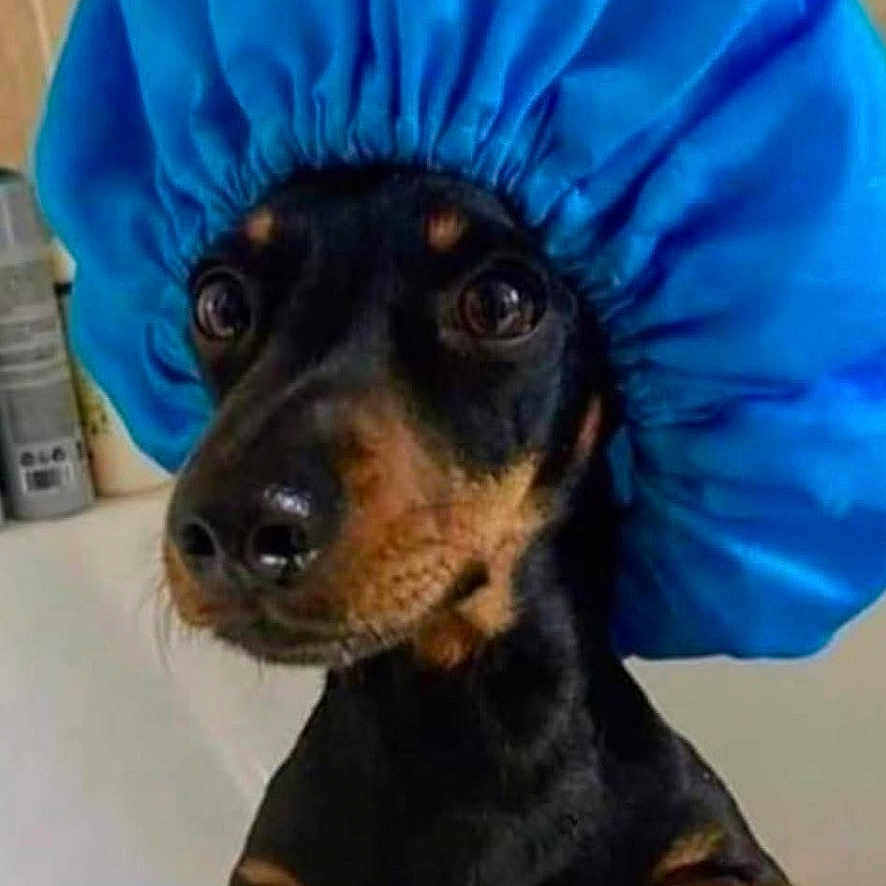 Lucy Lu