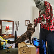 Beezelbub is registered to the contest to win money with this photo: cat, costume, werewolf, plaid_shirt, cardboard_box, living_room, lamp, mirror, vacuum_cleaner, table, person, pet, furniture, decor, home, interaction, claws, fur, indoor, animal