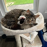 Pixy is registered to the contest to win money with this photo: