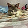 Cleo