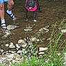 Tova is registered to the contest to win money with this photo: adventure, black_dog, creek, dog, grass, happy, leash, nature, outdoor, person, pink_harness, plants, rocks, sandals, shallow_water, shorts, socks, tongue_out, walking, water