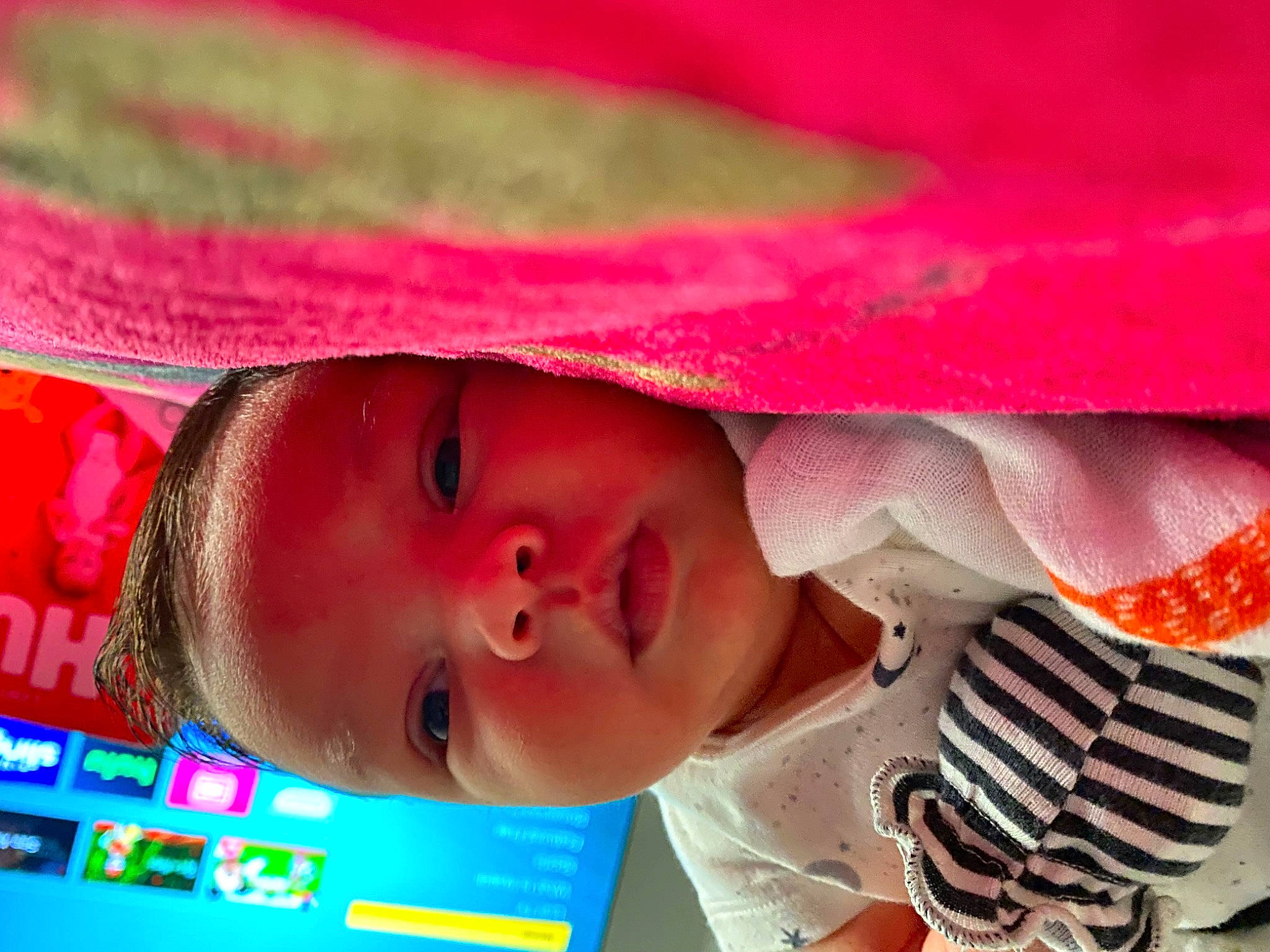 Alexander is registered to the contest to win money with this photo: baby, beauty, child, eye, eyelash, face, hair, happy, head, leisure, lip, magenta, mouth, nose, orange, person, pink, plant, red, skin