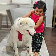 Kaeya is registered to the contest to win money with this photo: barefoot, child, companionship, curly_hair, dog, friendly, girl, hair_bow, home, hugging, indoors, large_dog, pet, pink_shirt, portrait, rug, sitting, standing, toddler, white_dog