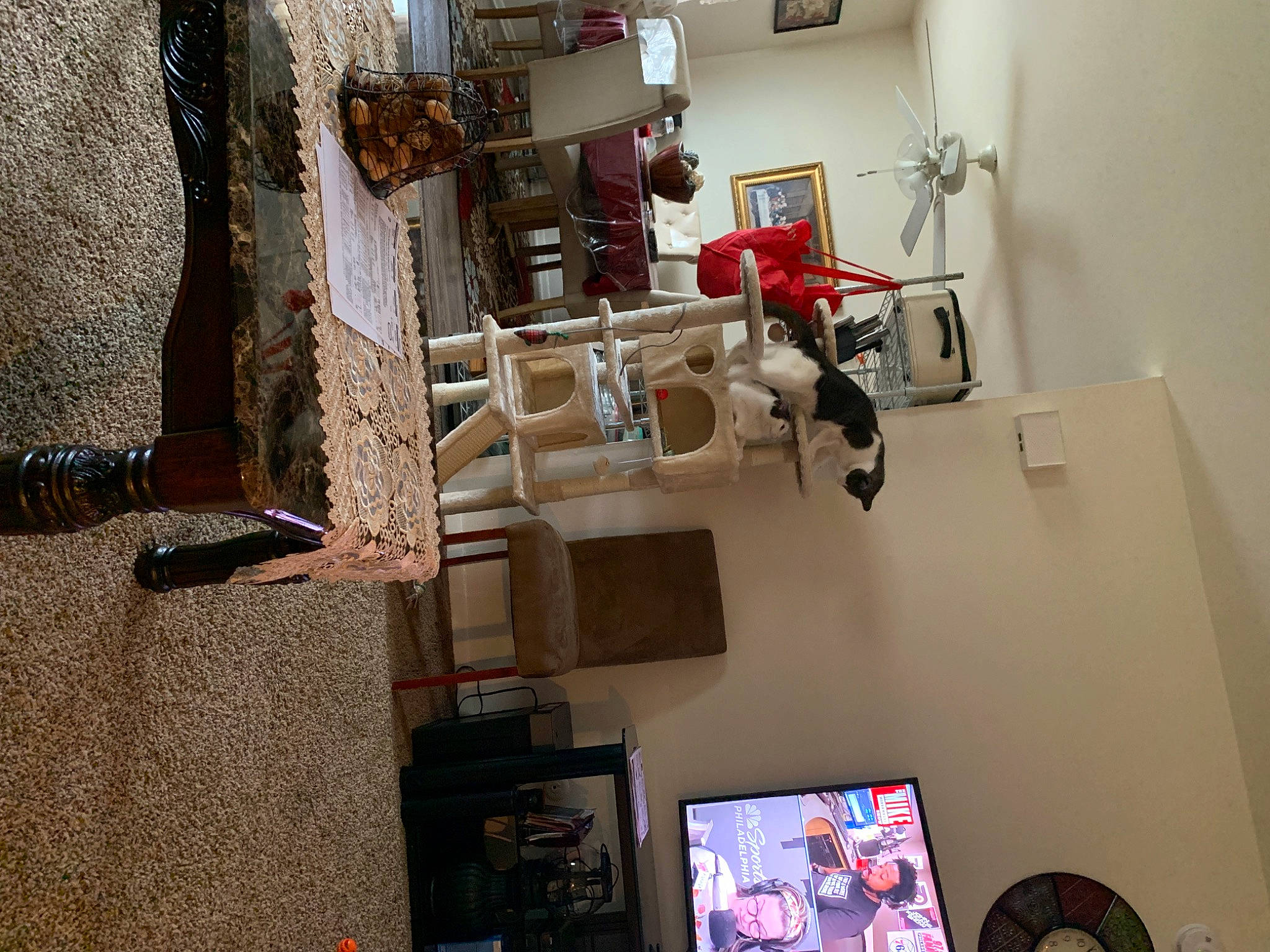 Berkeley is registered to the contest to win money with this photo: art, ceiling, electrical_supply, electrical_wiring, engineering, fashion_design, flooring, interior_design, machine, room, shelving, table, visual_arts, wood