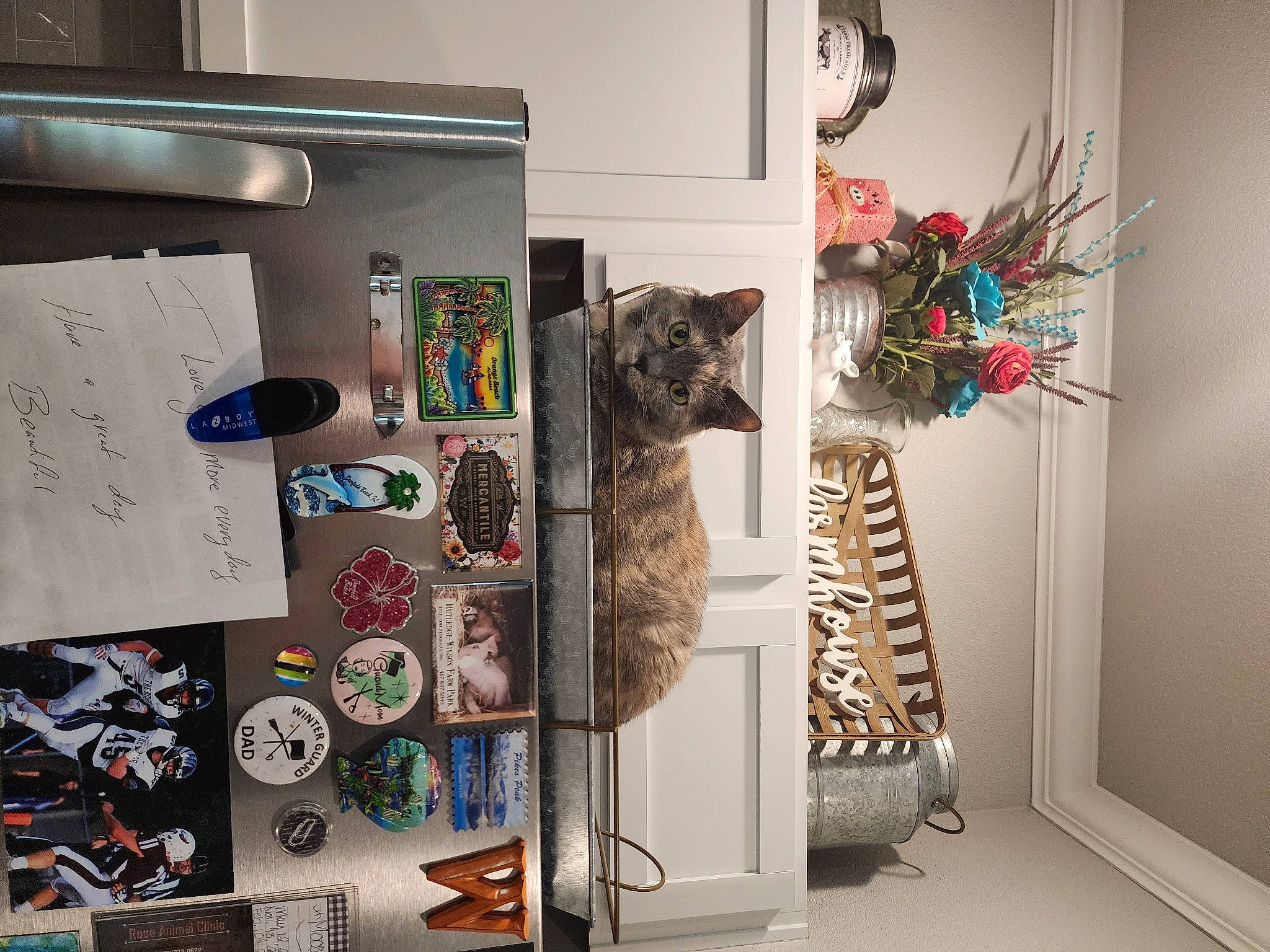 Lily joined the competition — help win amazing prizes! art, collection, event, flooring, font, handwriting, home_accessories, interior_design, major_appliance, pattern, rectangle, refrigerator, room, shelf, shelving, twig, visual_arts, wall, wood