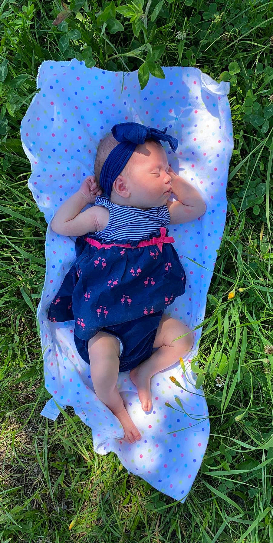 Audrie is registered to the contest to win money with this photo: baby, baby_toddler_clothing, child, grass, pattern, person, plant, play, product, toddler