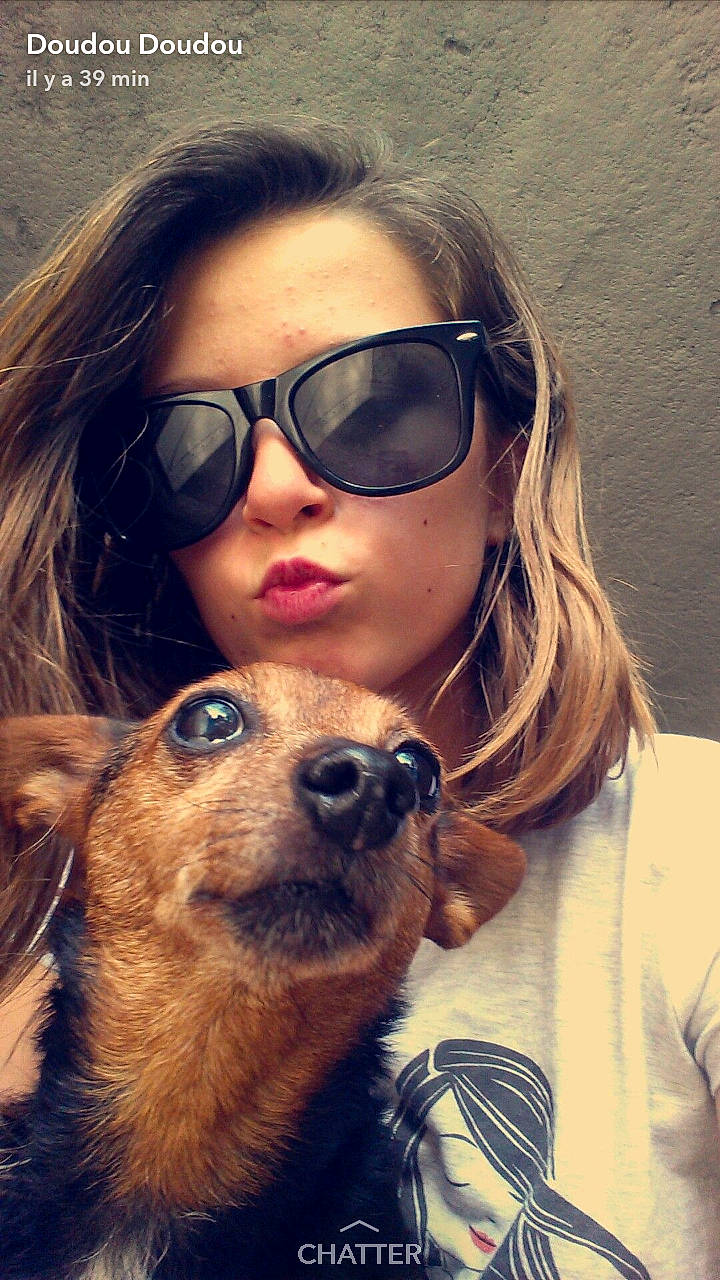 Braise participe au concours pour gagner de l'argent avec cette photo : canidae, carnivore, companion_dog, cool, dog, dog_breed, eyewear, face, fawn, fun, glasses, hair, head, long_hair, nose, person, photography, selfie, smile, snout