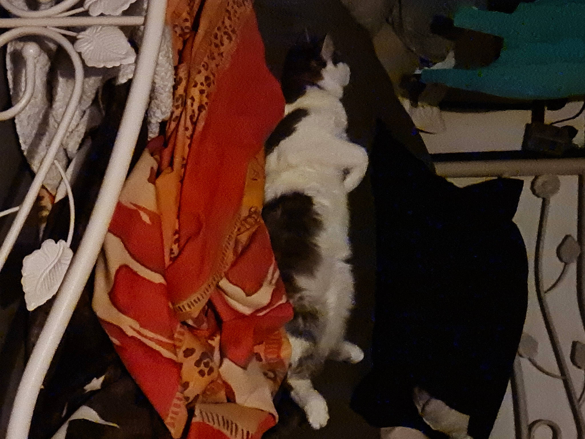 Tresor a rejoint le concours — aidez-le/la à gagner de superbes lots ! art, brown, carmine, carnivore, cat, companion_dog, fawn, felidae, flooring, fur, hardwood, natural_material, pattern, room, small_to_medium_sized_cats, tail, textile, visual_arts, whiskers, wood