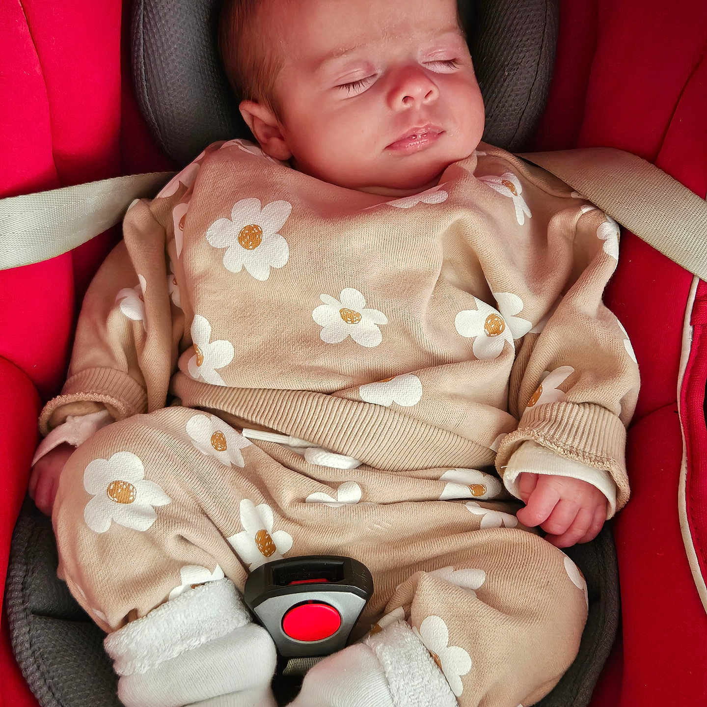 Tess participe au concours pour gagner de l'argent avec cette photo : baby, beige, car_seat, child, clothing, cozy, cute, flower_pattern, head_support, indoors, infant, peaceful, portrait, red, resting, seatbelt, sleeping, small_hands, soft_lighting, white_socks