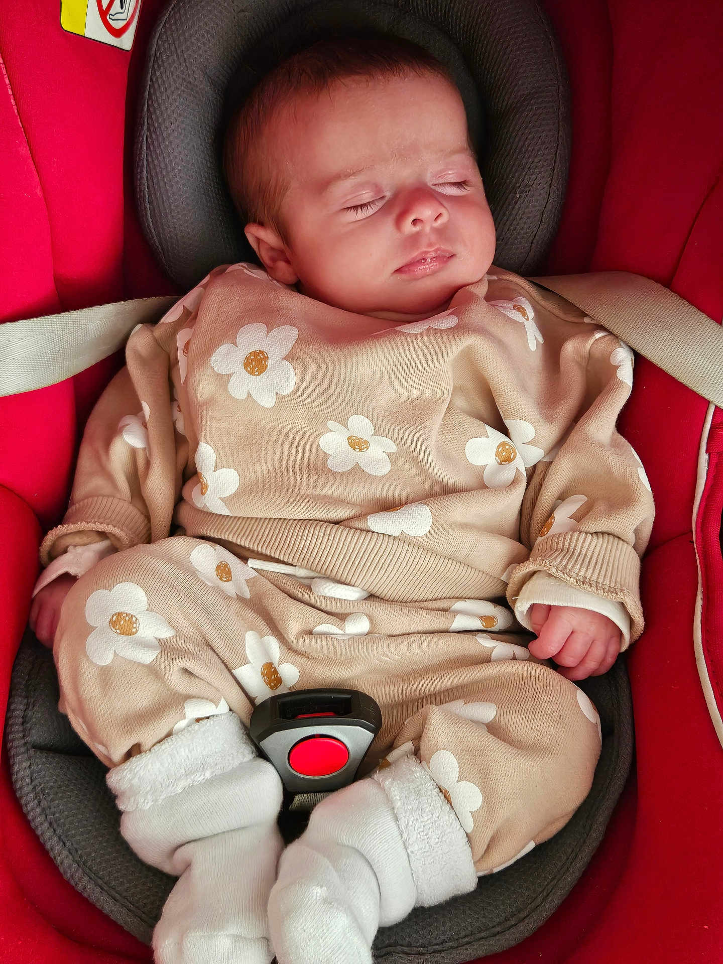 Tess participe au concours pour gagner de l'argent avec cette photo : baby, sleeping, car_seat, red, beige, flower_pattern, clothing, white_socks, infant, child, cute, peaceful, seatbelt, head_support, portrait, indoors, soft_lighting, small_hands, cozy, resting