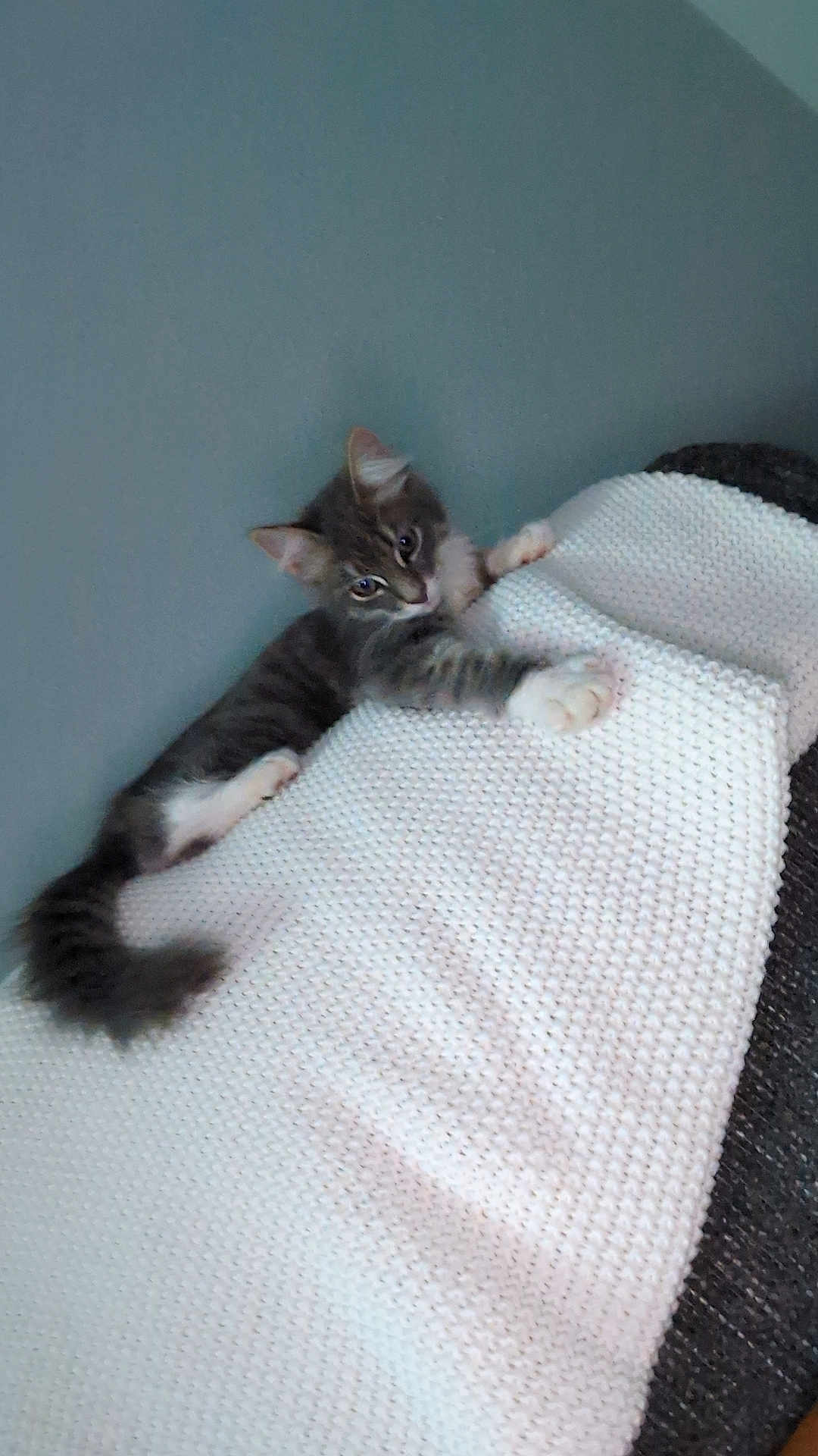 Artemis