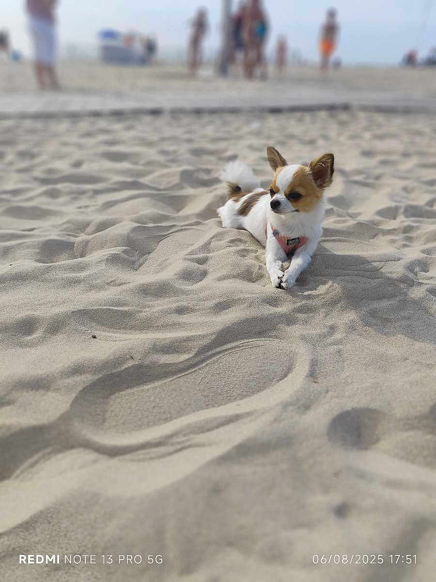 Molly