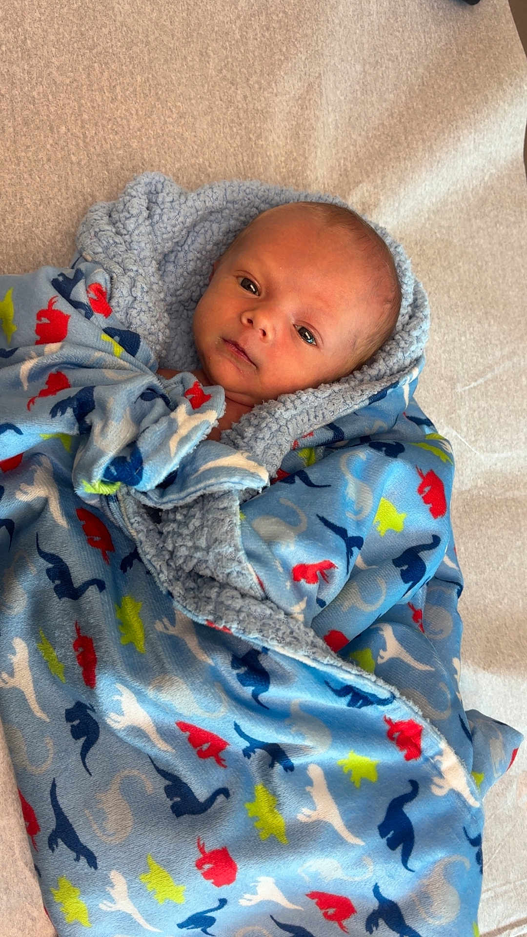 Maverick joined the competition — help win amazing prizes! baby, infant, blanket, blue, dinosaur_pattern, wrapped, newborn, face, eyes, soft, bed, resting, cute, child, portrait, warm, cozy, clothing, lying, fabric