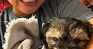 Aeris joined the competition — help win amazing prizes! basket, casual, closeup, cozy, cute, dog, face, flag, flowers, glasses, happy, holding, home, indoor, person, portrait, puppy, smile, towel, wet_fur