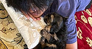 Aeris joined the competition — help win amazing prizes! person, puppy, dog, phone, pillow, rug, carpet, lying_down, indoor, hand, black_hair, blue_shirt, cute, pet, relaxing, snuggling, resting, cozy, home, casual