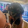 Aeris joined the competition — help win amazing prizes! puppy, dog, person, glasses, hand, indoor, blurred_background, close_up, cuddly, cute, furry, affection, love, holding, face, warmth, soft_light, animal, pet, portrait