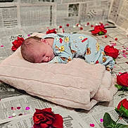 Zoey is registered to the contest to win money with this photo: baby, sleeping, blanket, onesie, red_roses, confetti, newspaper, soft_texture, cute, infant, peaceful, lying_down, decorative, indoors, portrait, child, resting, floral, celebration, cozy