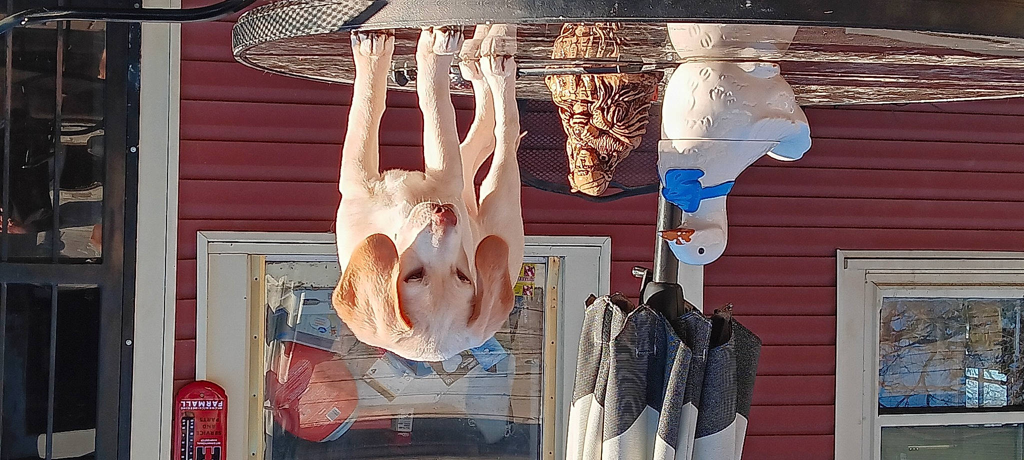 Buck is registered to the contest to win money with this photo: art, brick, brickwork, building, ceiling, facade, flesh, font, human_leg, interior_design, light_fixture, pattern, picture_frame, room, still_life_photography, symmetry, textile, visual_arts, window, wood