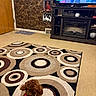 dog, brown, curly_fur, red_collar, rug, circular_pattern, carpet, television, tv_show, living_room, fireplace, entertainment_center, wall_art, framed_photos, door, floor, marble_wall, furniture, indoor, pet