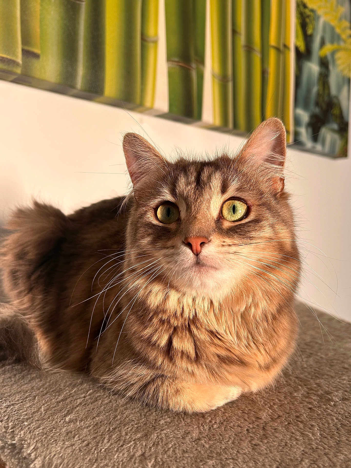 Yumi a rejoint le concours — aidez-le/la à gagner de superbes lots ! cat, tabby, green_eyes, fur, whiskers, indoor, bamboo_art, painting, soft_surface, curious, alert, pet, animal, closeup, portrait, relaxed, cozy, warm_light, feline, domestic_cat