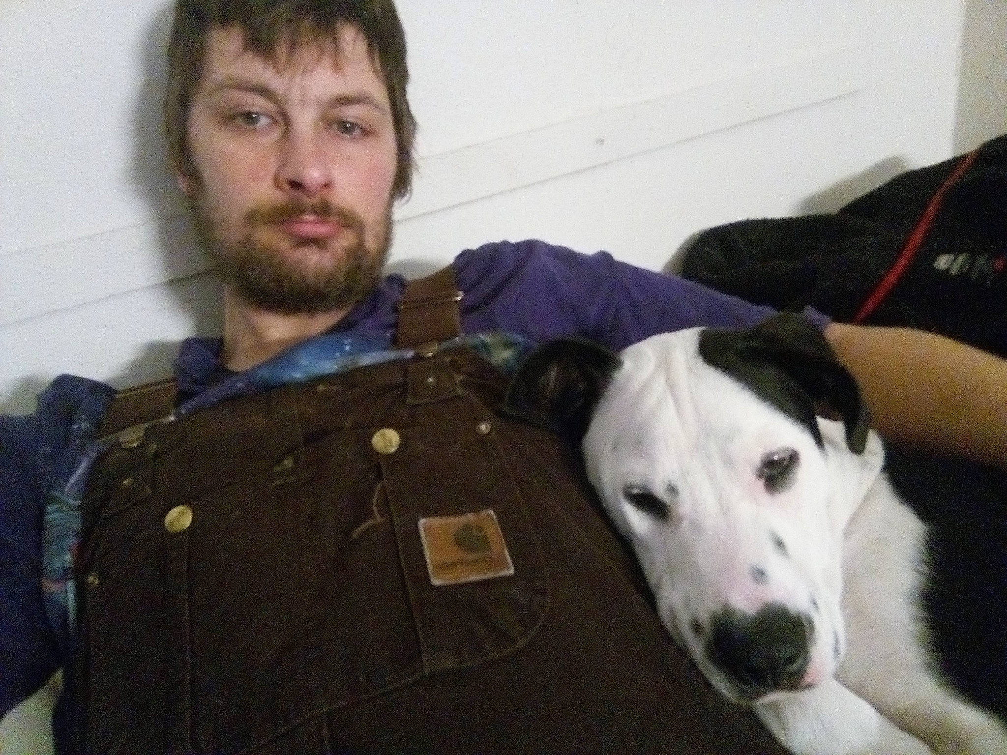 Cerberus joined the competition — help win amazing prizes! beard, canidae, carnivore, collar, companion_dog, dog, dog_breed, facial_hair, guard_dog, military_person, military_uniform, moustache, non_commissioned_officer, personal_protective_equipment, sighthound, snout, sporting_group, working_animal, working_dog