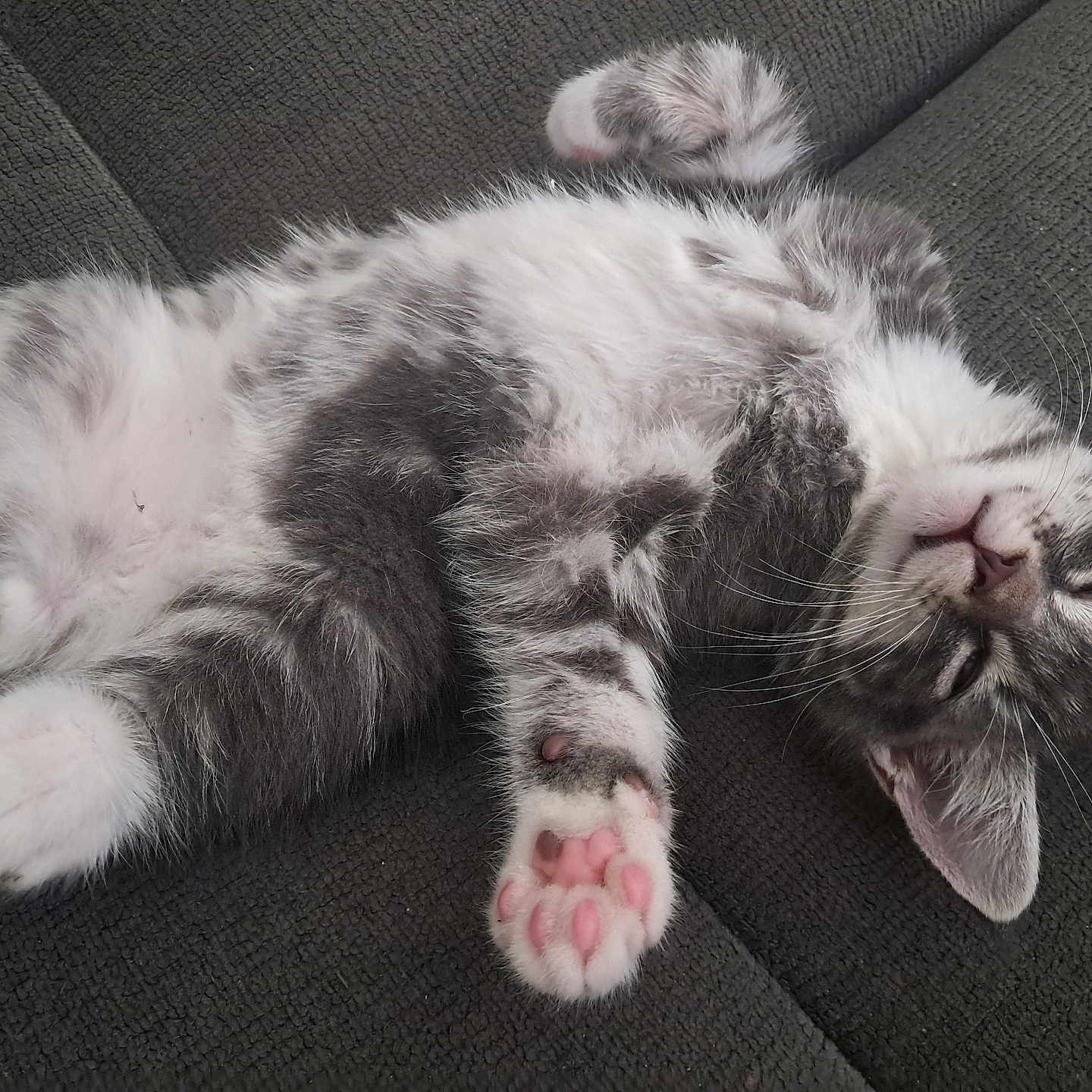 Django
