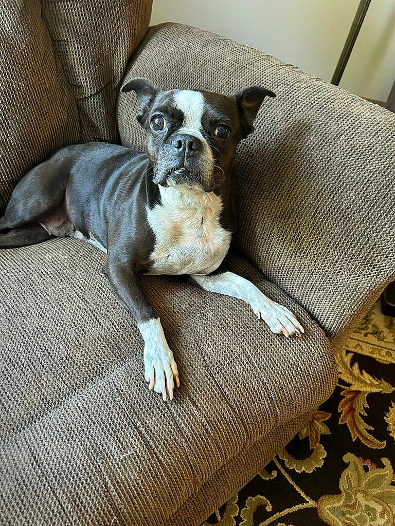 Rosie