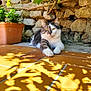 Malibu participe au concours pour gagner de l'argent avec cette photo : animal, calm, cat, closeup, domestic_cat, feline, garden, leafy_shadow, nature, outdoor, pet, plant, potted_plant, relaxed, resting, shadow, stone_wall, sunlight, terracotta_tiles, yellow_eyes